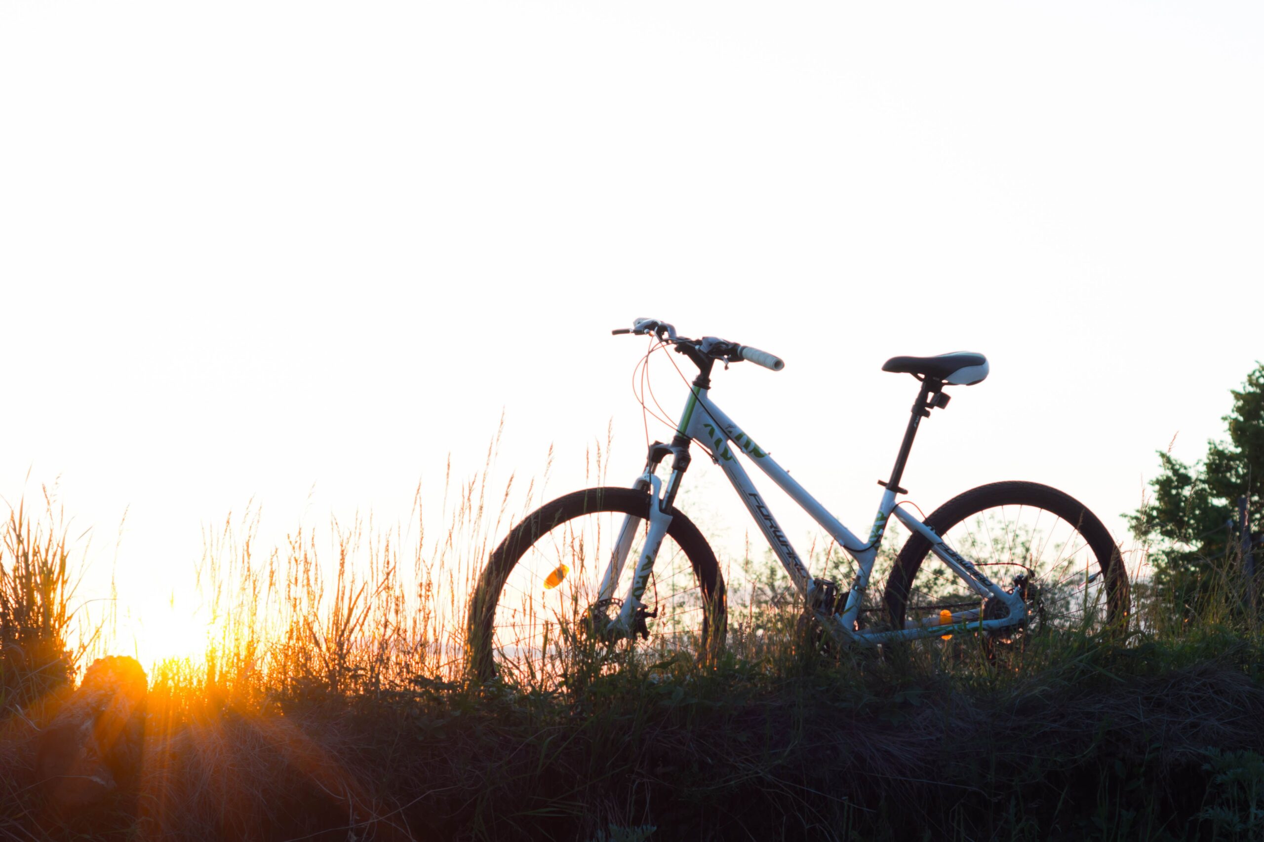 Fiets
